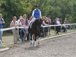 IMG_1394_web